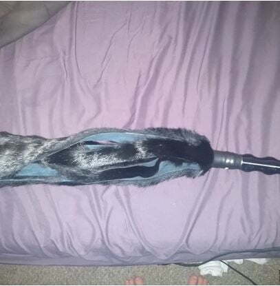 Bunny Flogger: Our Delicious Soft Flogger 13 Bunny Flogger: Our Delicious Soft Flogger - Image 11