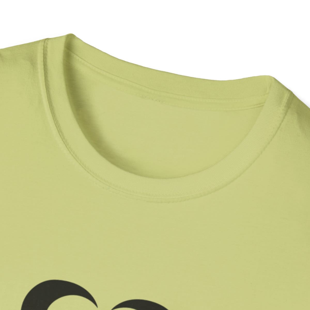 Unisex Softstyle T-Shirt 41 Unisex Softstyle T-Shirt - Image 39
