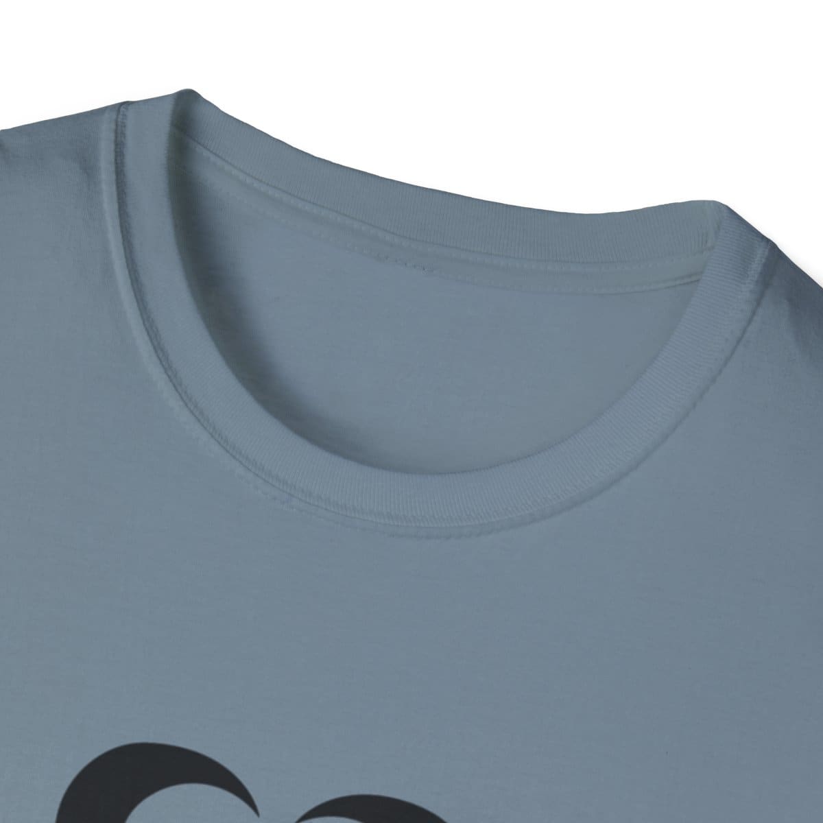 Unisex Softstyle T-Shirt 101 Unisex Softstyle T-Shirt - Image 99