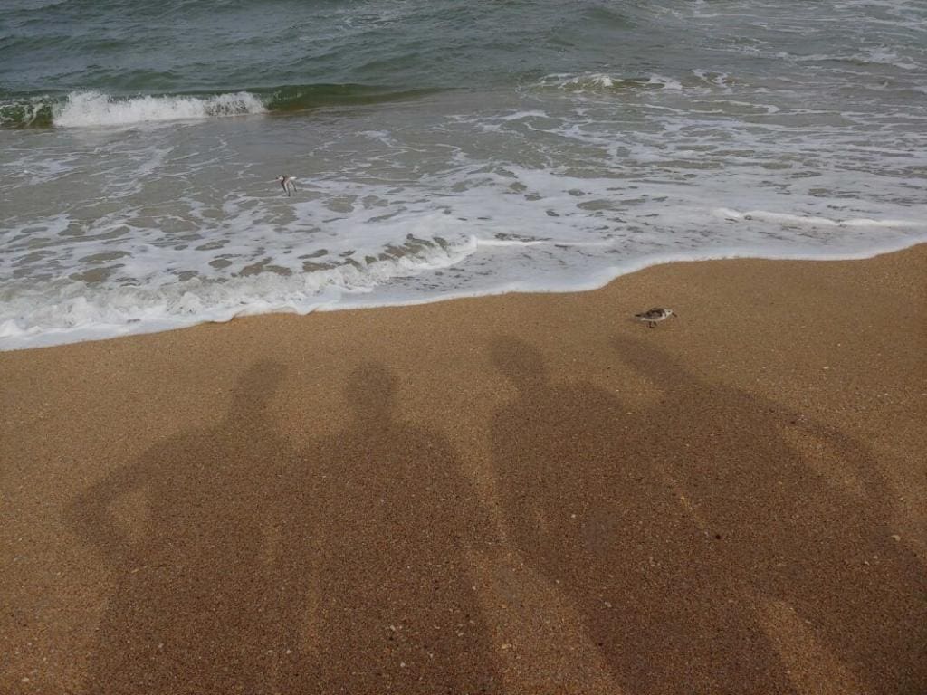 Naked Fun in the Florida Sun 2 shadows on the beach